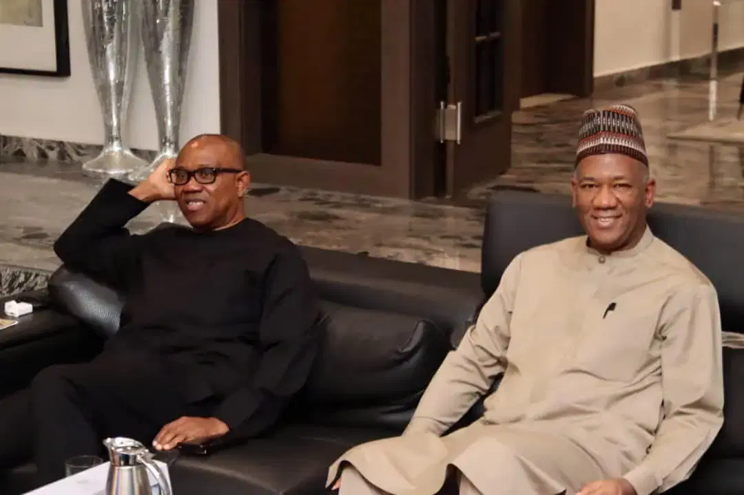 2027: Baba-Ahmed faults Obi leadership, says north unlikely to back him, Kwankwaso